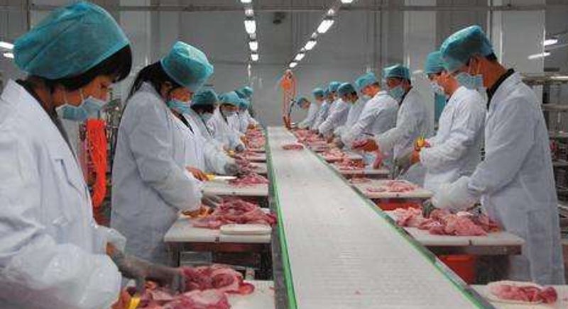 徐州食品厂如何引领未来？